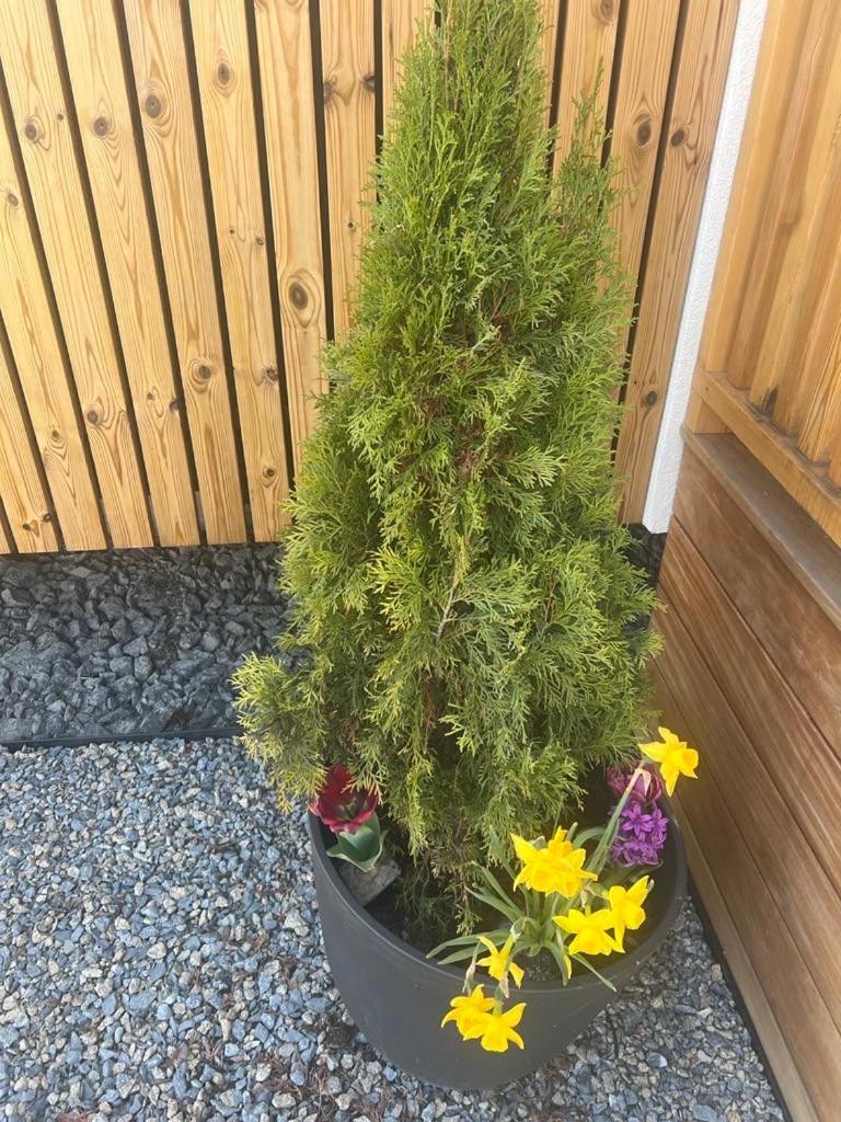 Domcek Pod Vezami S Virivkou A Grilom, Pri Termalnom Kupalisku Apartment Liptovský Ján Exterior foto